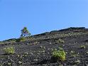 LaPalma (022)